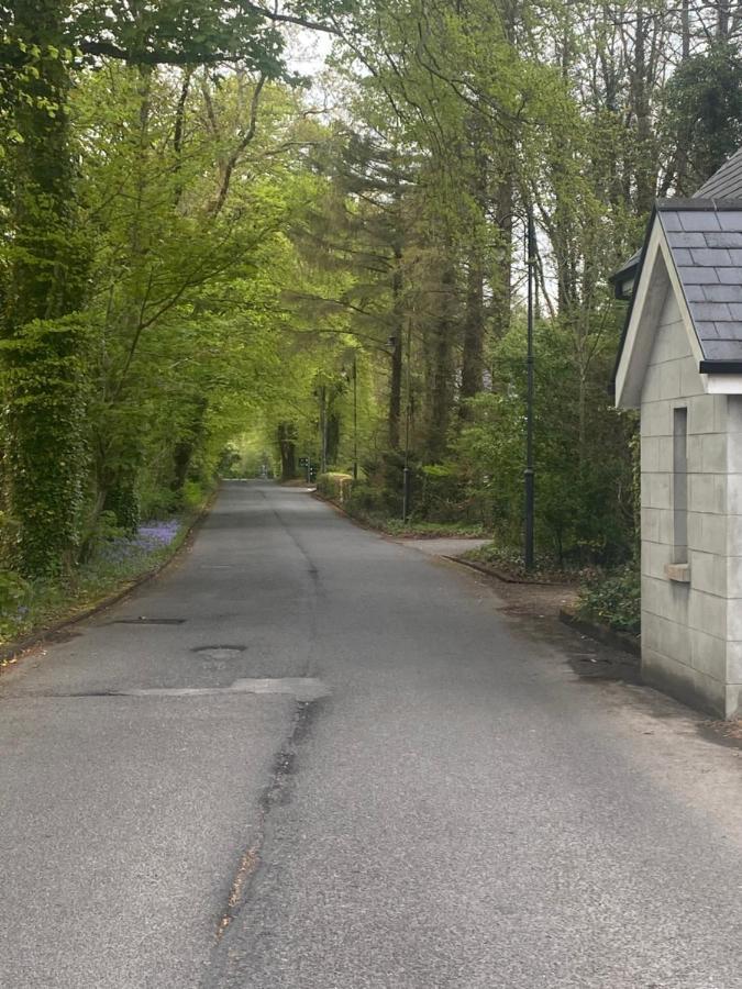 3 The Courtyard Castle Dargan Διαμέρισμα Ballygawley Εξωτερικό φωτογραφία